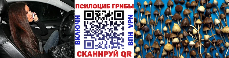 что такое   Калязин  Псилоцибиновые грибы Psilocybe 